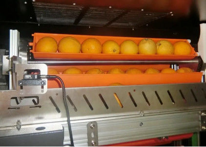 Fruit de marché noir Juice Vending Machine 800W pour des oranges Apple