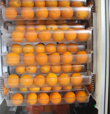 Fruit automatique Juice Vending Machine orange frais 1000W pour le magasin de supermarché