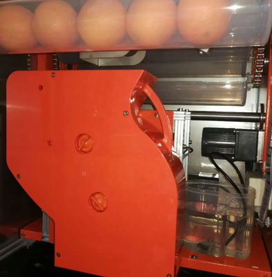 Juice Machine orange se vendant frais automatique 800W WD-ORANGE