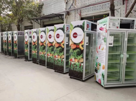 Juice Vending Machine Electric automatique orange 24 heures de service 110V - 220V d'individu