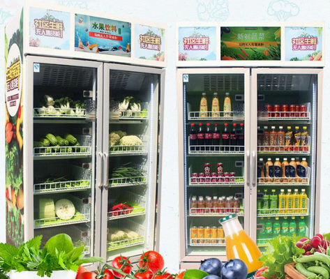 Juice Vending Machine Electric automatique orange 24 heures de service 110V - 220V d'individu