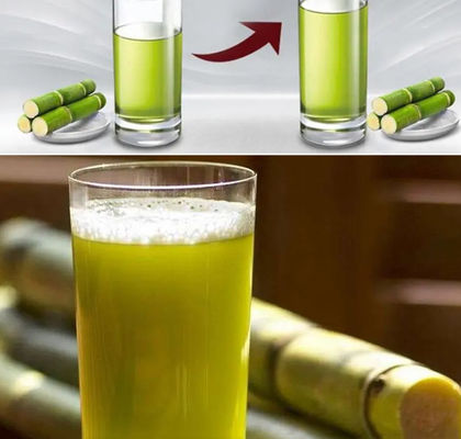canne à sucre Juice Machine Commercial de 800kg/H Sugar Cane Squeezer 380V 50Hz