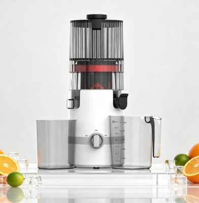 Fresh Smart HJ102B Slow Masticating Juicer