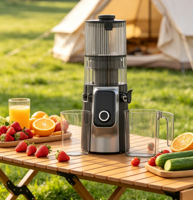 Juicer polyvalent HJ102C, fabricant de jus de légumes à tension universelle